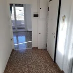 Affitto 3 camera appartamento di 75 m² in Bologna