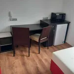 Rent 1 bedroom apartment in Praha 6