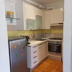 Rent 2 bedroom apartment of 50 m² in Rosignano Marittimo