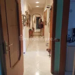 Rent 3 bedroom apartment of 115 m² in Messina