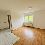 Rent 2 bedroom apartment of 35 m² in Mügeln