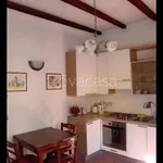 Rent 1 bedroom apartment of 48 m² in Bologna