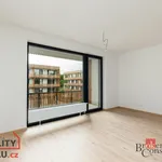 Rent 1 bedroom apartment in Plzeň