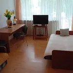 Rent 2 bedroom apartment of 47 m² in Łódź