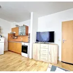 Rent 1 bedroom apartment of 27 m² in olomouc