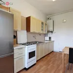 Rent 2 bedroom apartment of 48 m² in Brno