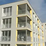 Rent 3 bedroom apartment of 67 m² in Rheinfelden