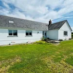 Bungalow to rent in Cilgryman Fawr, Whitland SA34