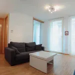 Rent 1 bedroom apartment of 30 m² in Madrid