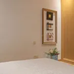 Rent 1 bedroom apartment in madrid