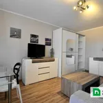 Rent 1 bedroom apartment of 30 m² in Gliwice