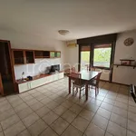 Rent 3 bedroom apartment of 85 m² in Udine