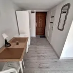 Rent 1 bedroom apartment of 20 m² in Łódź