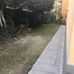 Rent 1 bedroom apartment of 45 m² in Bologna