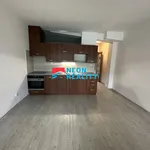 Rent 1 bedroom apartment in Ostrava