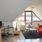 Rent 2 bedroom apartment in Aalst