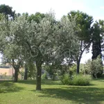 Rent 5 bedroom house of 1 m² in Porto San Giorgio