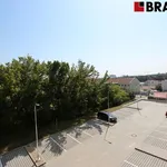 Rent 1 bedroom apartment of 35 m² in Brno