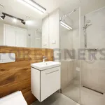 Rent 1 bedroom apartment of 34 m² in Brno