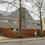 Huur 1 slaapkamer appartement in Westerlo (Westerlo)