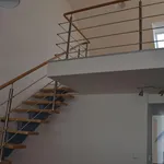 Rent 2 bedroom apartment of 58 m² in Brno