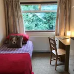 Rent 4 bedroom house in Canterbury