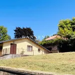 Rent 2 bedroom apartment of 50 m² in Torino