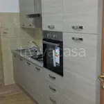 Rent 2 bedroom apartment of 50 m² in Frosinone