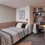 Rent 1 bedroom apartment in Coventry