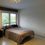 Rent 2 bedroom apartment in Hofstade