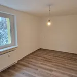 Etagenwohnung in Riesa: Alles NEU - Sanierte 2 Raumwohnung mit Balkon