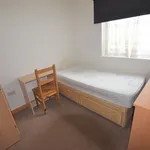 Rent 2 bedroom apartment in Colchester