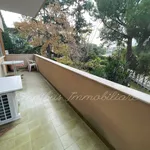 Rent 5 bedroom apartment of 181 m² in Foggia