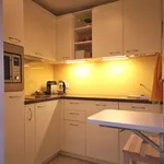 Rent 1 bedroom apartment of 30 m² in Prague