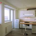 Rent 1 bedroom apartment of 30 m² in Brno