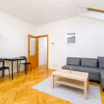 Studio o rozloze 40 m² v prague