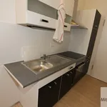 Rent 2 bedroom apartment of 31 m² in Nuremberg