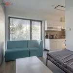 Rent 1 bedroom apartment of 23 m² in Trhový Štěpánov