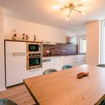 Rent 4 bedroom apartment of 120 m² in Düsseldorf