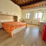 Rent 3 bedroom apartment of 50 m² in Siena