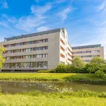 Studio van 35 m² in Arnhem