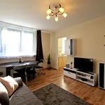 Rent 1 bedroom apartment of 27 m² in Łódź