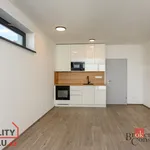 Rent 1 bedroom apartment in Pilsen