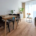 Rent 2 bedroom apartment of 36 m² in Wrocław