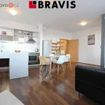 Rent 2 bedroom apartment of 58 m² in Brno