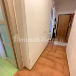 Rent 1 bedroom apartment of 45 m² in Rome