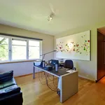 Rent 4 bedroom apartment of 378 m² in Uccle