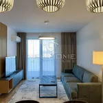 Rent 2 bedroom apartment of 55 m² in Cluj