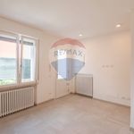 Porzione di casa in Affitto Viadana 33631032-78 | RE/MAX Italia