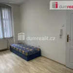 Rent 1 bedroom apartment of 32 m² in Capital City of Prague